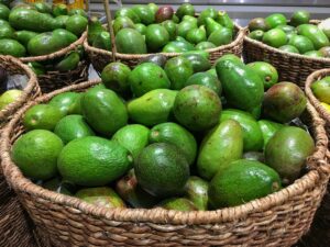 avocado export