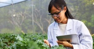 Sustainability of Avocado Crops