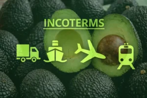 FOB vs CIF vs DAP