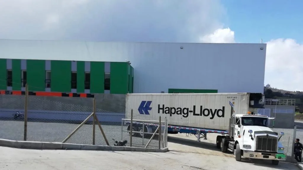 About Fruty Green 2026