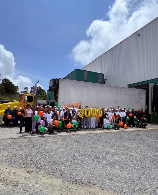 About Fruty Green 3000 container